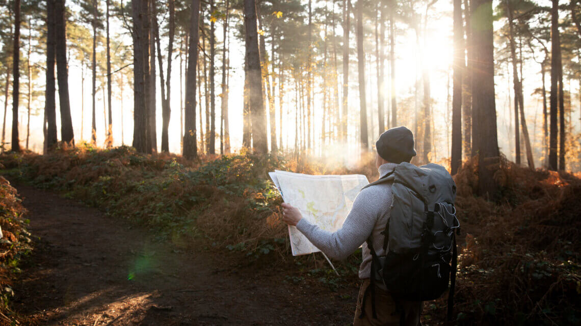 Fin 2025 : DingDong – L&rsquo;heure du bilan a sonné !